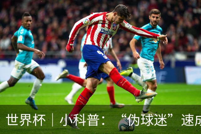 世界杯｜小科普：“伪球迷”速成手册