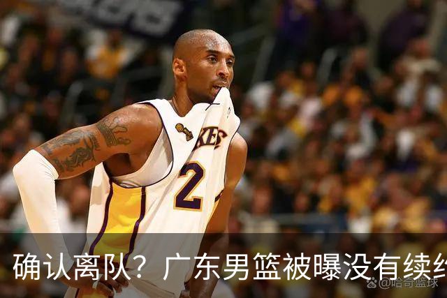 确认离队？广东男篮被曝没有续约杜锋，新主教练人选正式曝光！